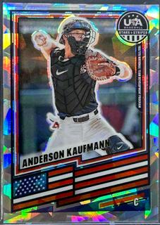 Anderson Kaufmann