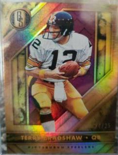 Terry Bradshaw