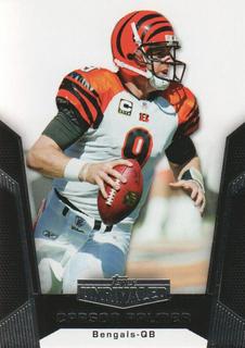 Carson Palmer