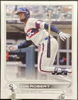 Luis Robert