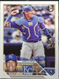 Salvador Perez
