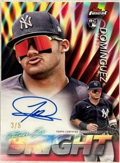 Jasson Dominguez