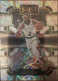 Jaylen Brown