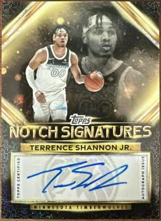 Terrence Shannon Jr.