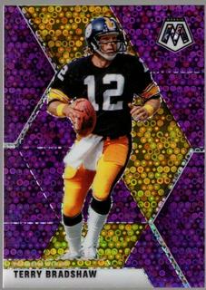 Terry Bradshaw