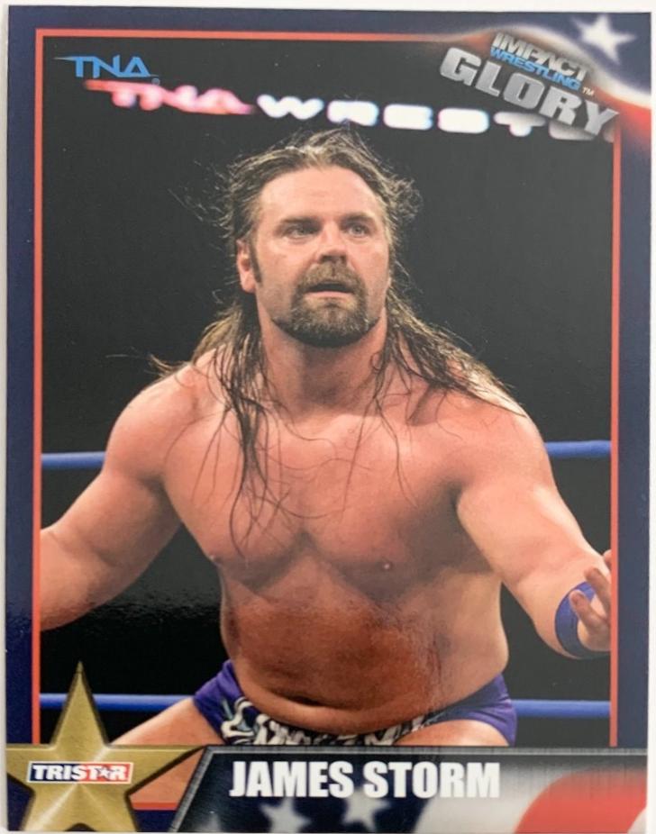 James Storm #15 Wrestling Cards 2013 TriStar TNA Impact Glory