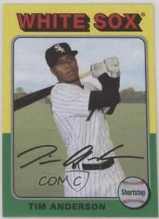 Tim Anderson
