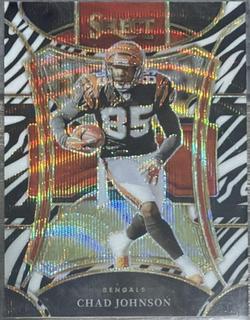 Chad Johnson