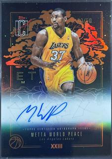 Metta World Peace