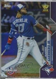 Vladimir Guerrero Jr.