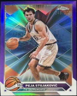 Peja Stojakovic