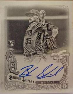 Braden Shipley