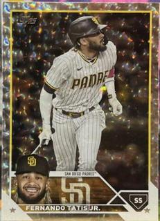 Fernando Tatis Jr.