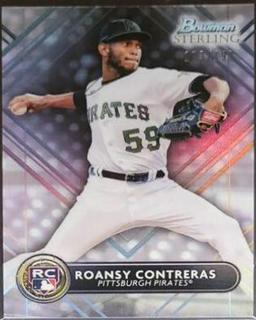 Roansy Contreras