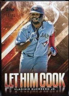 Vladimir Guerrero Jr.