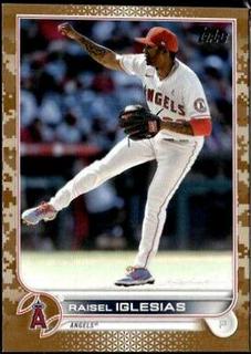 Raisel Iglesias