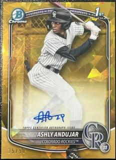 Ashly Andujar