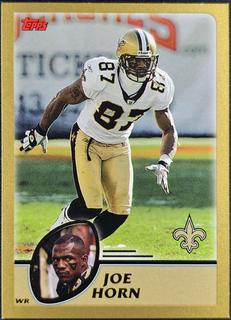 Joe Horn