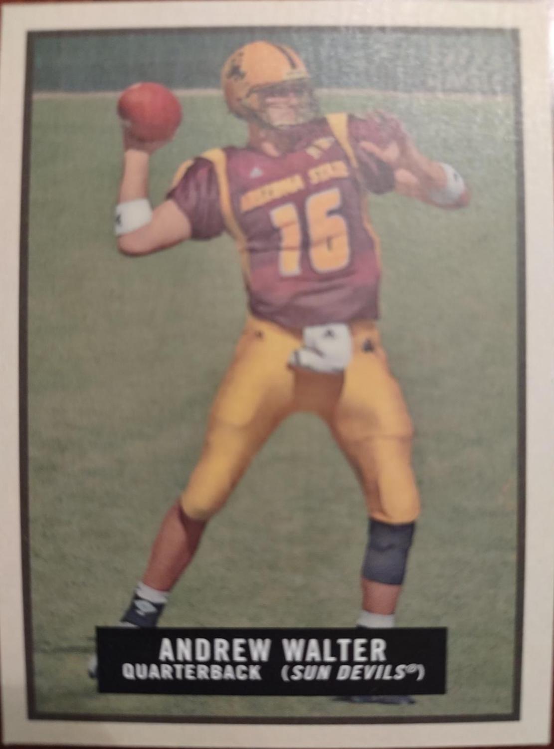 Andrew Walter #12 Football Cards 2009 Topps Magic