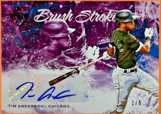 Tim Anderson