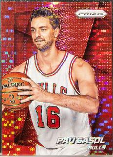 Pau Gasol