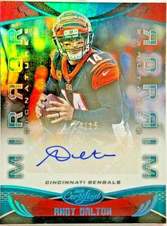 Andy Dalton