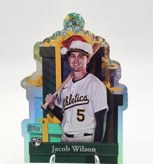 Jacob Wilson