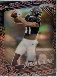 Jayden Higgins