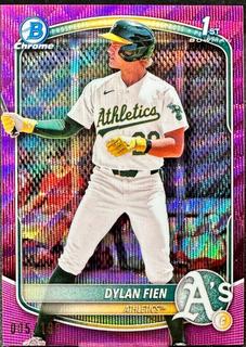 Dylan Fien