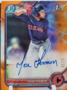Jose Fermin