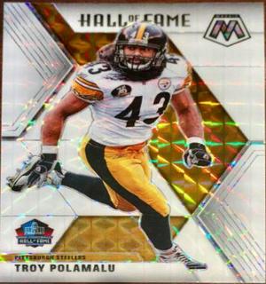 Troy Polamalu