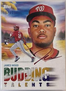 James Wood