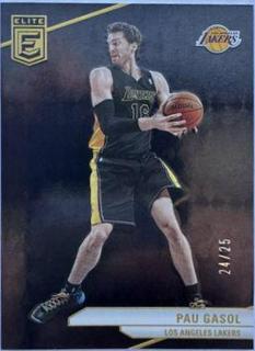 Pau Gasol