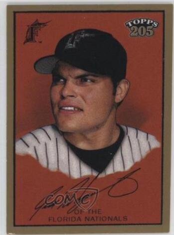 Ivan Rodriguez #10 Baseball Cards 2003 Topps 205