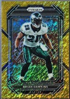 Brian Dawkins