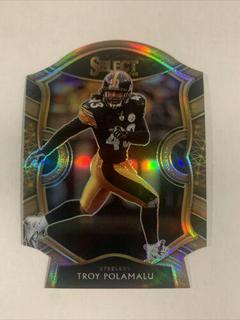 Troy Polamalu