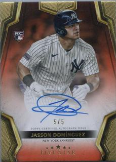 Jasson Dominguez