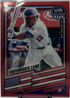 Jorvorskie Lane Jr.
