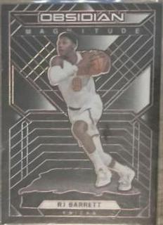 RJ Barrett