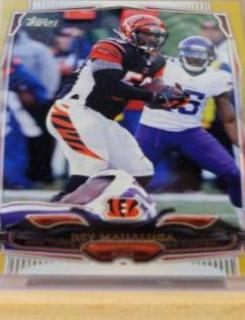 Rey Maualuga