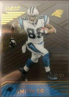 Steve Smith Sr.