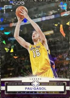 Pau Gasol