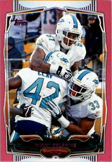 Miami Dolphins
