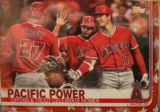 Mike Trout / Shohei Ohtani