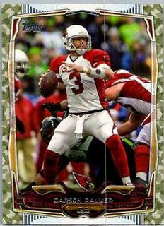 Carson Palmer