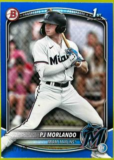 PJ Morlando