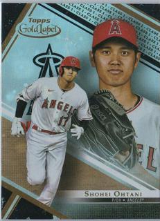 Shohei Ohtani