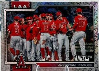 Team Card