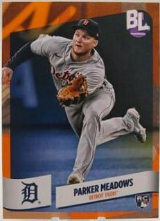 Parker Meadows
