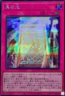 True Light QCCP-JP014